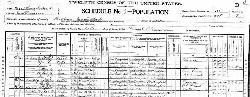 1900 Census Nelson (Detail)