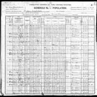 1900 Census Nelsons.jpeg