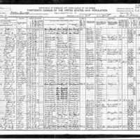 1910 Census Nelsons.jpeg