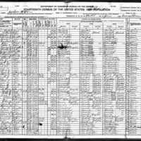 1920 Census Arthur Nelson.jpeg
