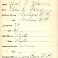 Marriage Certificate of Hial F. Nelson and Ida L. Farr (detail)