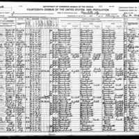 1920 Census Elmer Nelson.jpeg