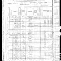 1880 Census Nelsons.jpeg