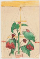 Rose Illustration by Arthur