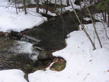 a stream in a snowy forest